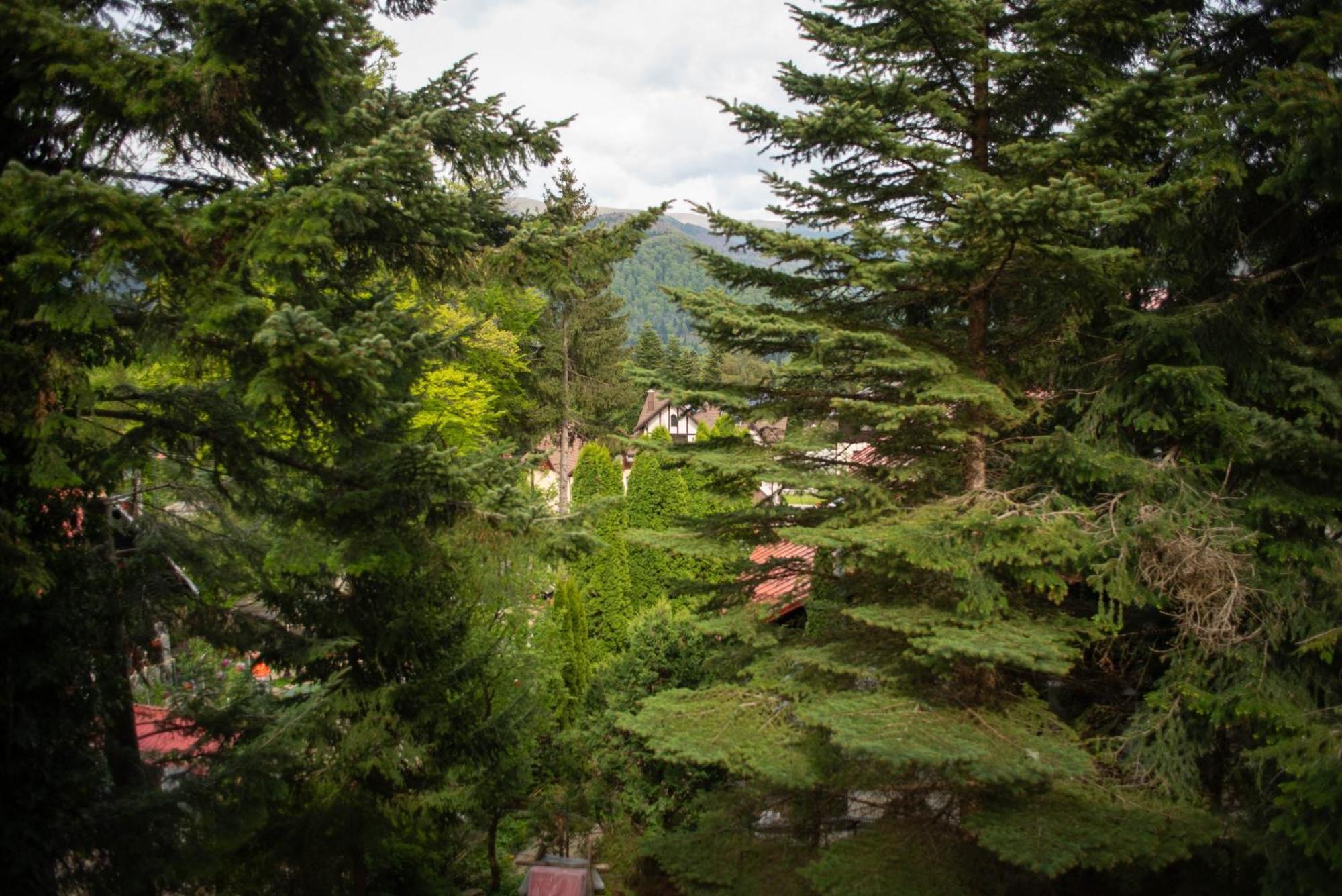 Villa Sara In Sinaia Near Peles & Gondola Exterior foto
